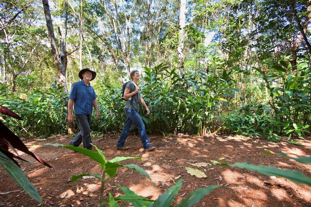 Rose Gums Wilderness Retreat Villa Butchers Creek ภายนอก รูปภาพ