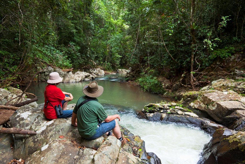 Rose Gums Wilderness Retreat Villa Butchers Creek ภายนอก รูปภาพ